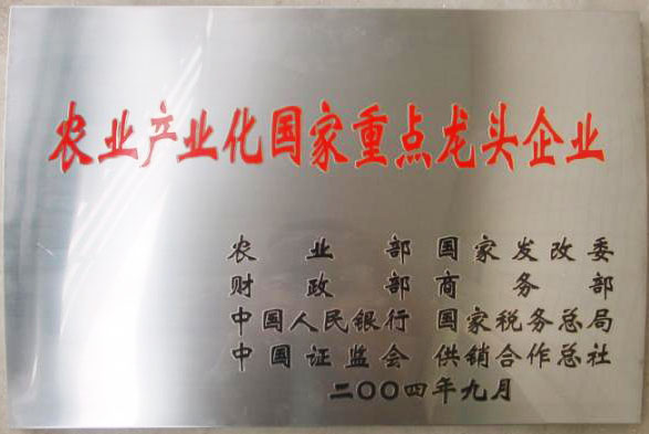 立足過(guò)去、放眼未來(lái)，白象食品二十三歲生日快樂